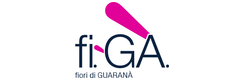 Logo fi-GA