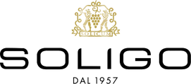 Logo Soligo