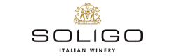 Logo Soligo