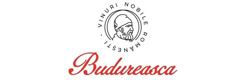 Logo Budureasca