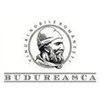 Budureasca Premium Logo
