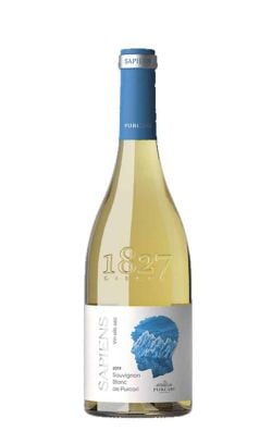 Sapiens Sauvignon Blanc 0.75L Sapiens Sauvignon Blanc 0.75L