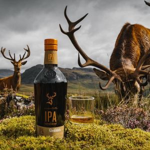 Glenfiddich IPA Experiment, single malt maturat în butoaie de bere IPA