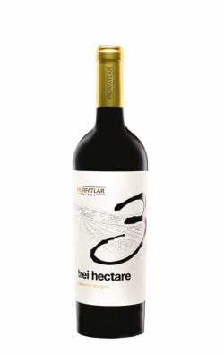 Murfatlar 3 Hectare Cabernet Sauvignon 0.75L – Vin Roșu din România Murfatlar 3 Hectare Cabernet Sauvignon 0.75L – vin roșu sec România, Cabernet Sauvignon Murfatlar 3 Hectare pentru gastronomie, Vinuri România – Murfatlar Cabernet Sauvignon 0.75L