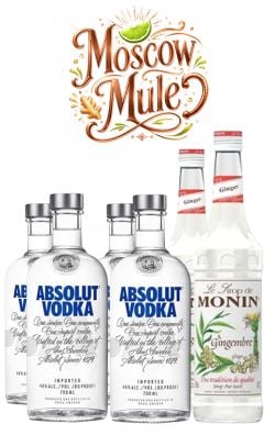 Pachet Cocktail Absolut & Monin – Moscow Mule Pachet Cocktail Absolut & Monin – Moscow Mule