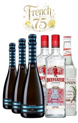 Pachet Cocktail Beefeater, Allungo & Monin – French 75 Pachet Cocktail Beefeater, Allungo & Monin – French 75